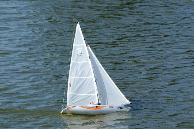 A100.07052509 © Peter Taylor 2007