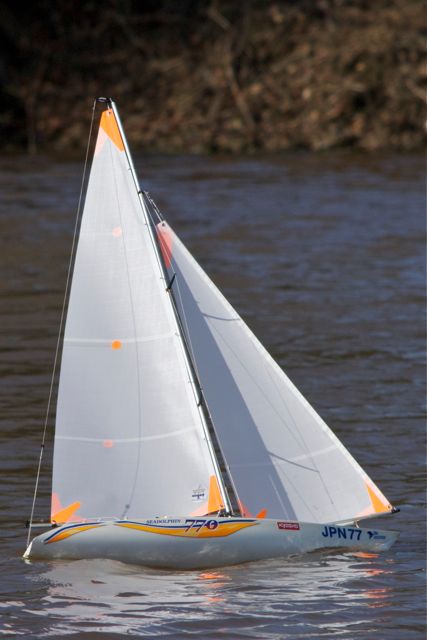 DSC09692© Peter Taylor 2012