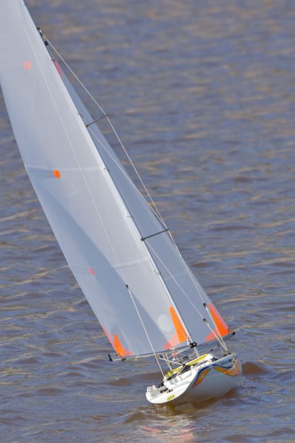 DSC09681 © Peter Taylor 2012
