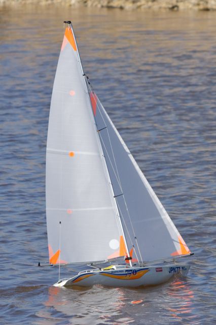DSC09646 © Peter Taylor 2012