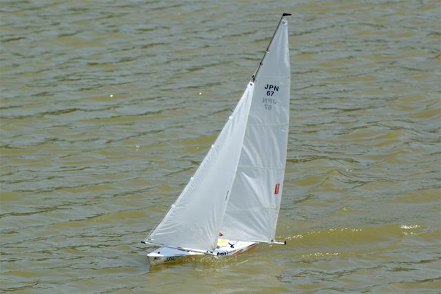 DSC01764 © Peter Taylor 2007