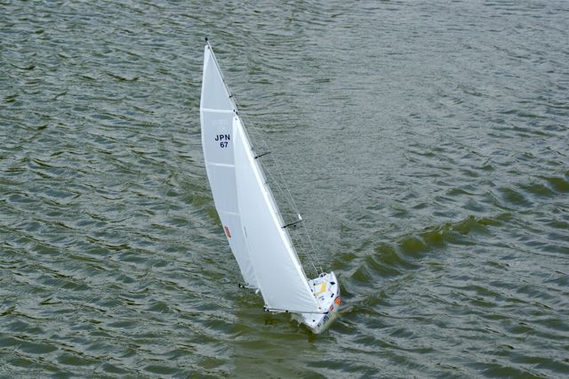 A100.07052517 © Peter Taylor 2007