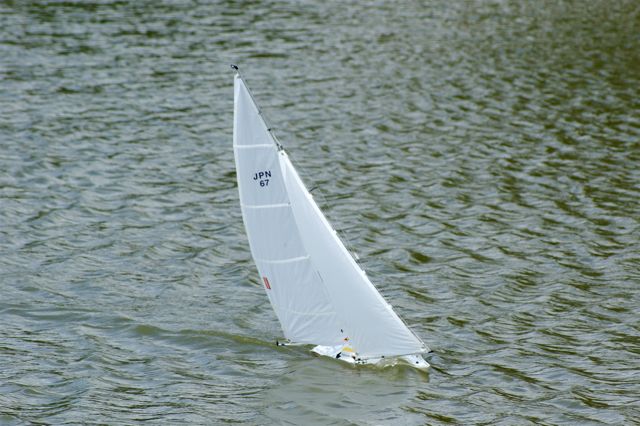 A100.07052505 © Peter Taylor 2007