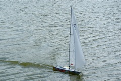 A100.07052512 © Peter Taylor 2007