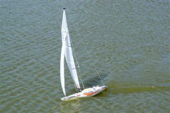 A100.07052510 © Peter Taylor 2007