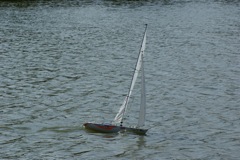 A100.07052508 © Peter Taylor 2007