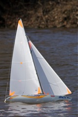 DSC09692© Peter Taylor 2012