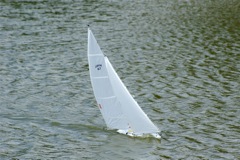 A100.07052505 © Peter Taylor 2007