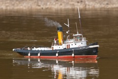 DSC01919 © Peter Taylor 2013