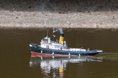 DSC01910 © Peter Taylor 2013