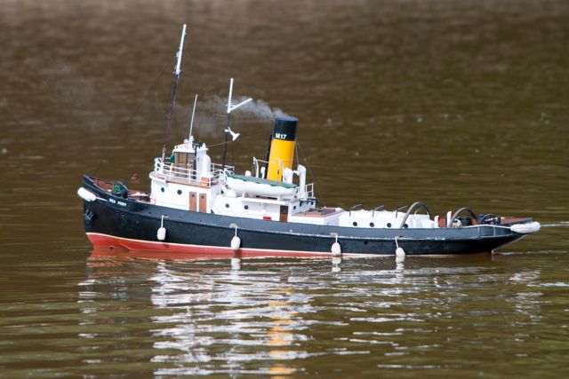 DSC01935 © Peter Taylor 2013