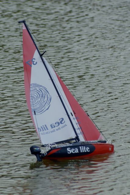 Sea lite DSC01273
