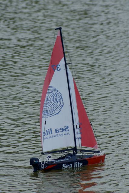 Sea lite DSC01272