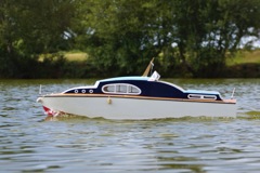 DSC01585 © Peter Taylor 2012