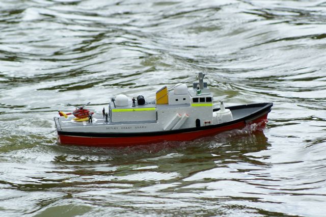 DSC06053 © Peter Taylor 2008