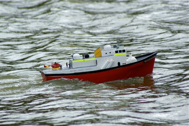 DSC06048 © Peter Taylor 2008