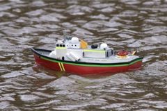 DSC05516 © Peter Taylor 2011