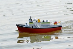 DSC08254 © Peter Taylor 2008