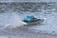 DSC05701 © Peter Taylor 2011