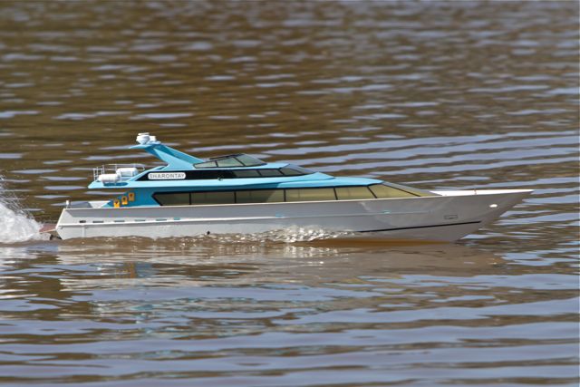 DSC04733 © Peter Taylor 2011