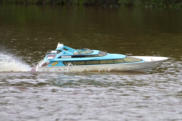 DSC05703 © Peter Taylor 2011