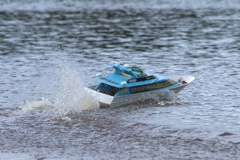 DSC05701 © Peter Taylor 2011