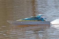 DSC04719 © Peter Taylor 2011