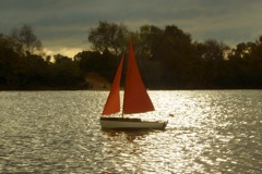 DSC04741 © Peter Taylor 2013