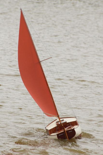 DSC03297 © Peter Taylor 2013