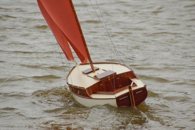DSC03296 © Peter Taylor 2013