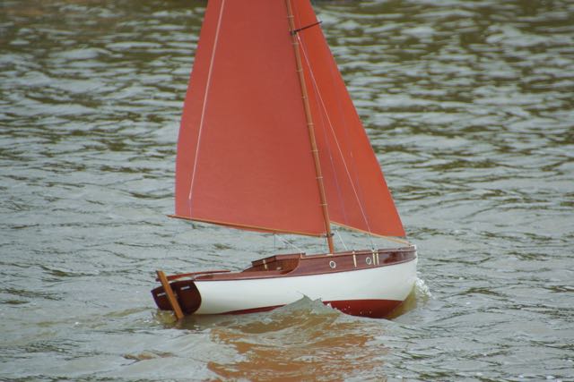DSC03292 © Peter Taylor 2013