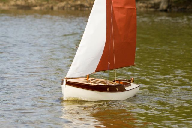 DSC01408 © Peter Taylor 2013