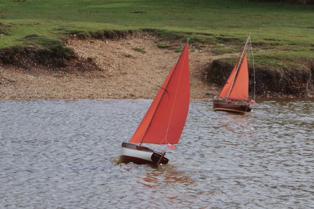 DSC04742 © Peter Taylor 2013