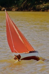 DSC04231 © Peter Taylor 2013