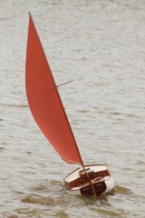 DSC03297 © Peter Taylor 2013