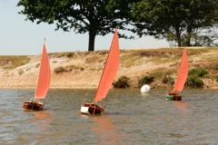 DSC03486 © Peter Taylor 2013