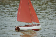 DSC03292 © Peter Taylor 2013
