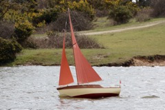 DSC07937 © Peter Taylor 2016