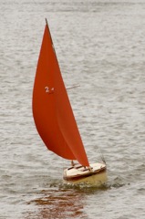 DSC07915 © Peter Taylor 2016
