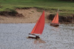 DSC04742 © Peter Taylor 2013