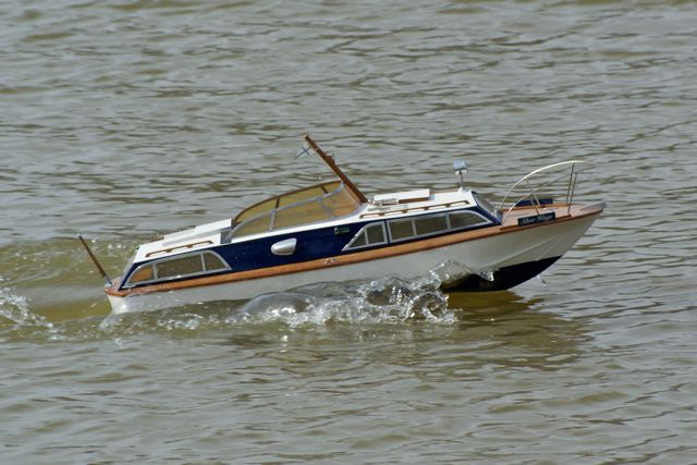Silver Wings DSC03366