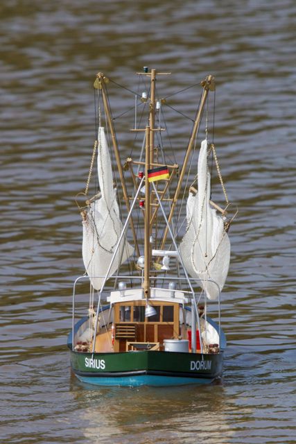 DSC06747 © Peter Taylor 2011