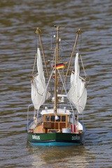 DSC06747 © Peter Taylor 2011