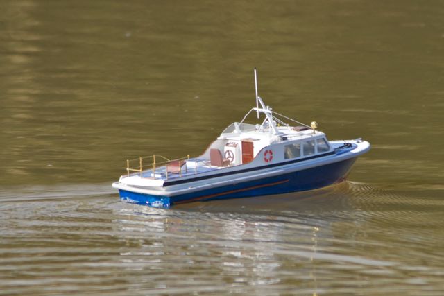 DSC09364 © Peter Taylor 2012