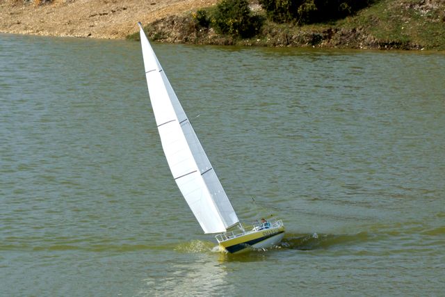 DSC09152 © Peter Taylor 2009