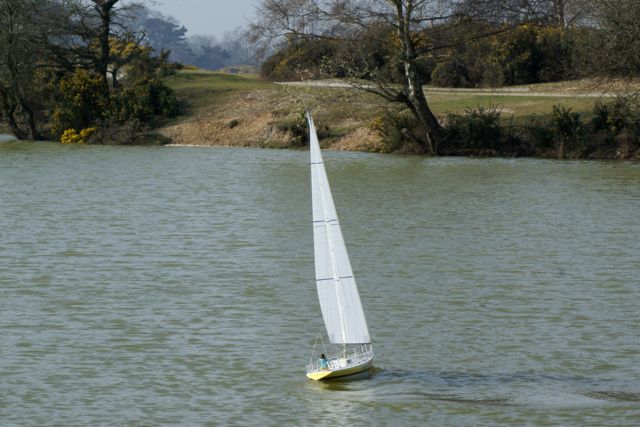 DSC09151 © Peter Taylor 2009