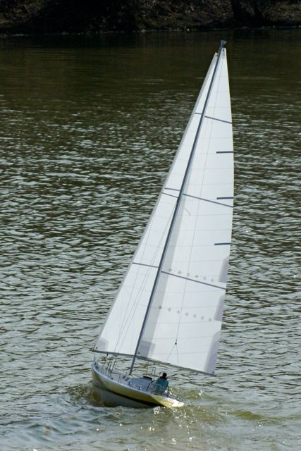 DSC09170 © Peter Taylor 2009