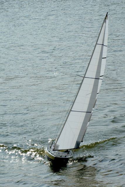DSC09166 © Peter Taylor 2009