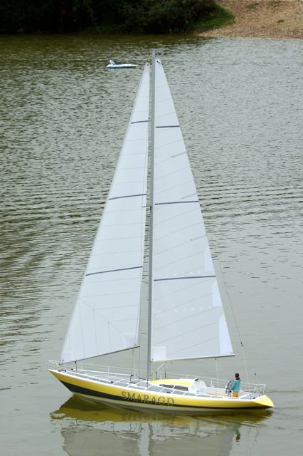 DSC06860 © Peter Taylor 2008