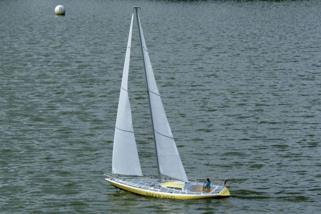 DSC01391 © Peter Taylor 2009